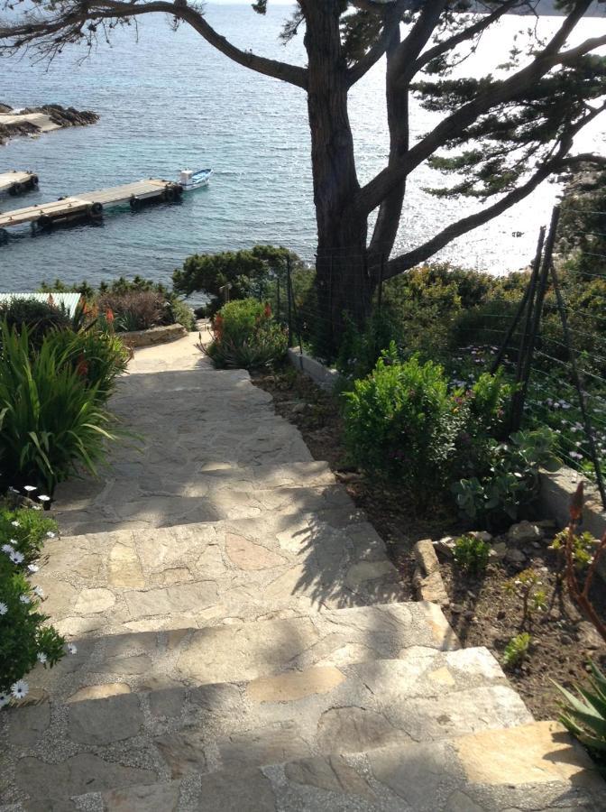 Villa Mirabel Île du Levant Екстериор снимка