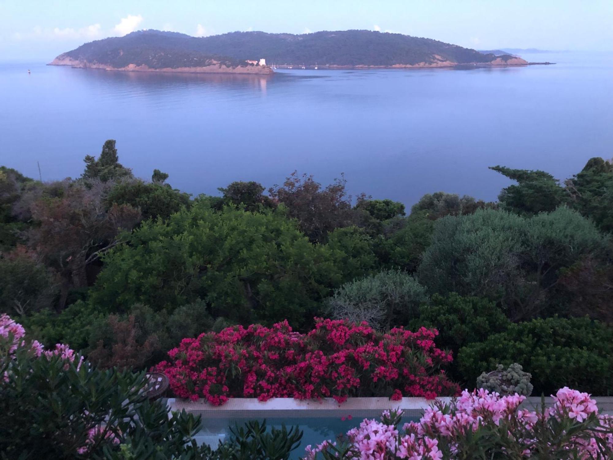 Villa Mirabel Île du Levant Екстериор снимка